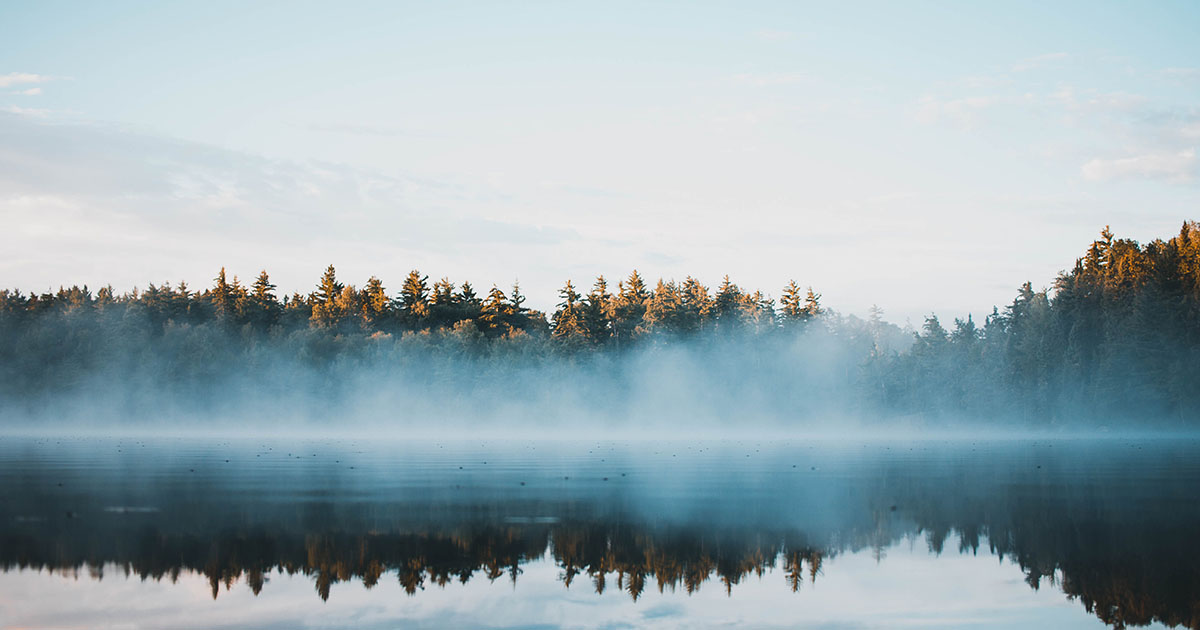 View overlooking a lake and forest behind it