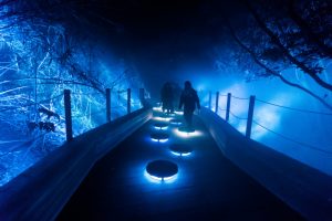 An etherial pathway with blue light
