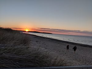 a sandy beach at sunset